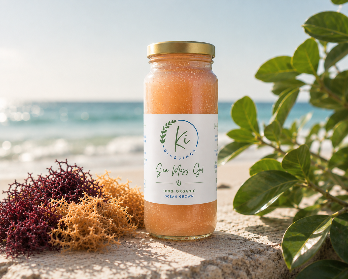 Sea Moss Gel 8 oz