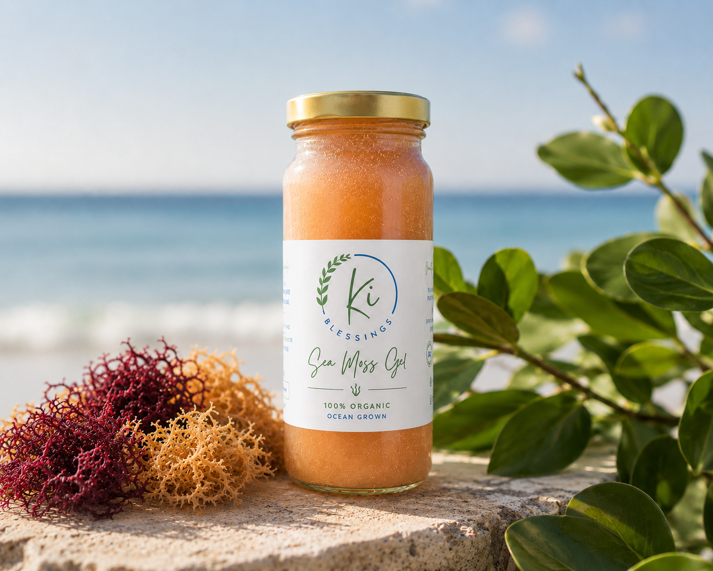 Sea Moss Gel 16 oz